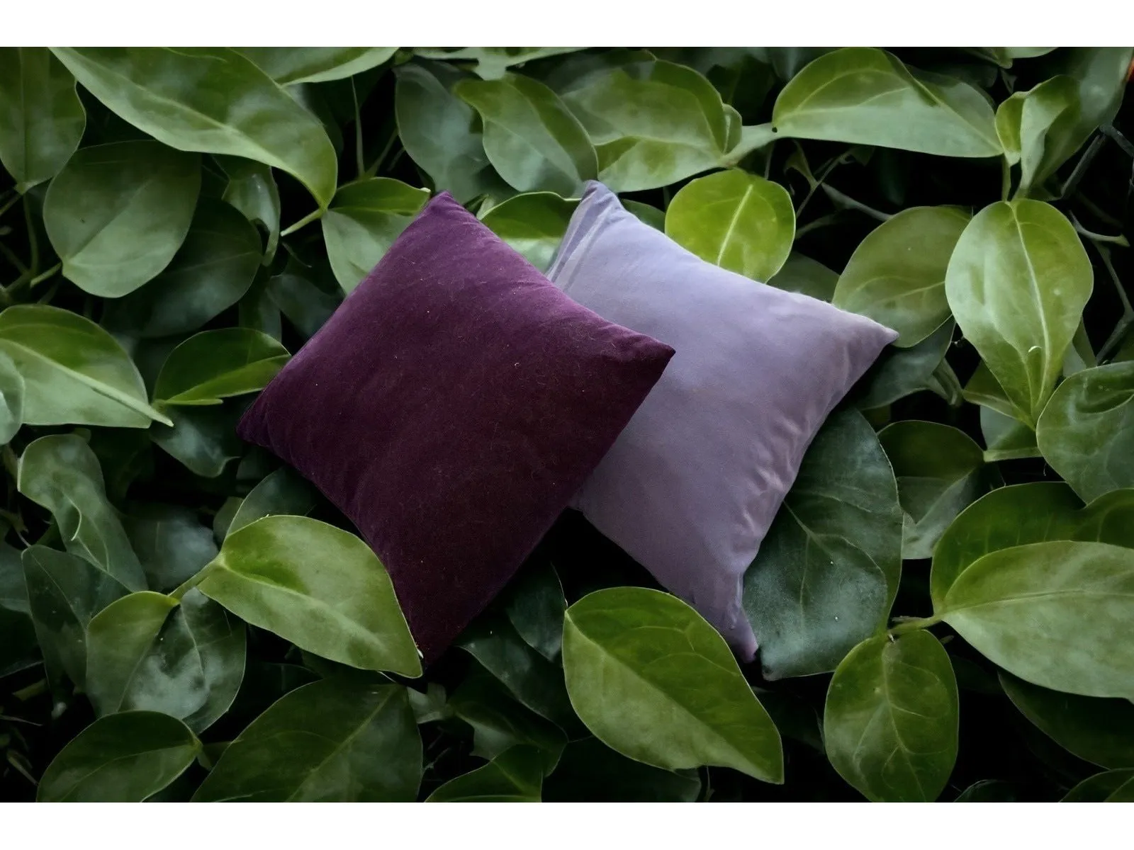 VIOLET - Cotton Dressmaking Velvet Fabric - Lightweight - Pure Cotton -  Great Crafting Velvet, for  Costume, Lining, Bags etc