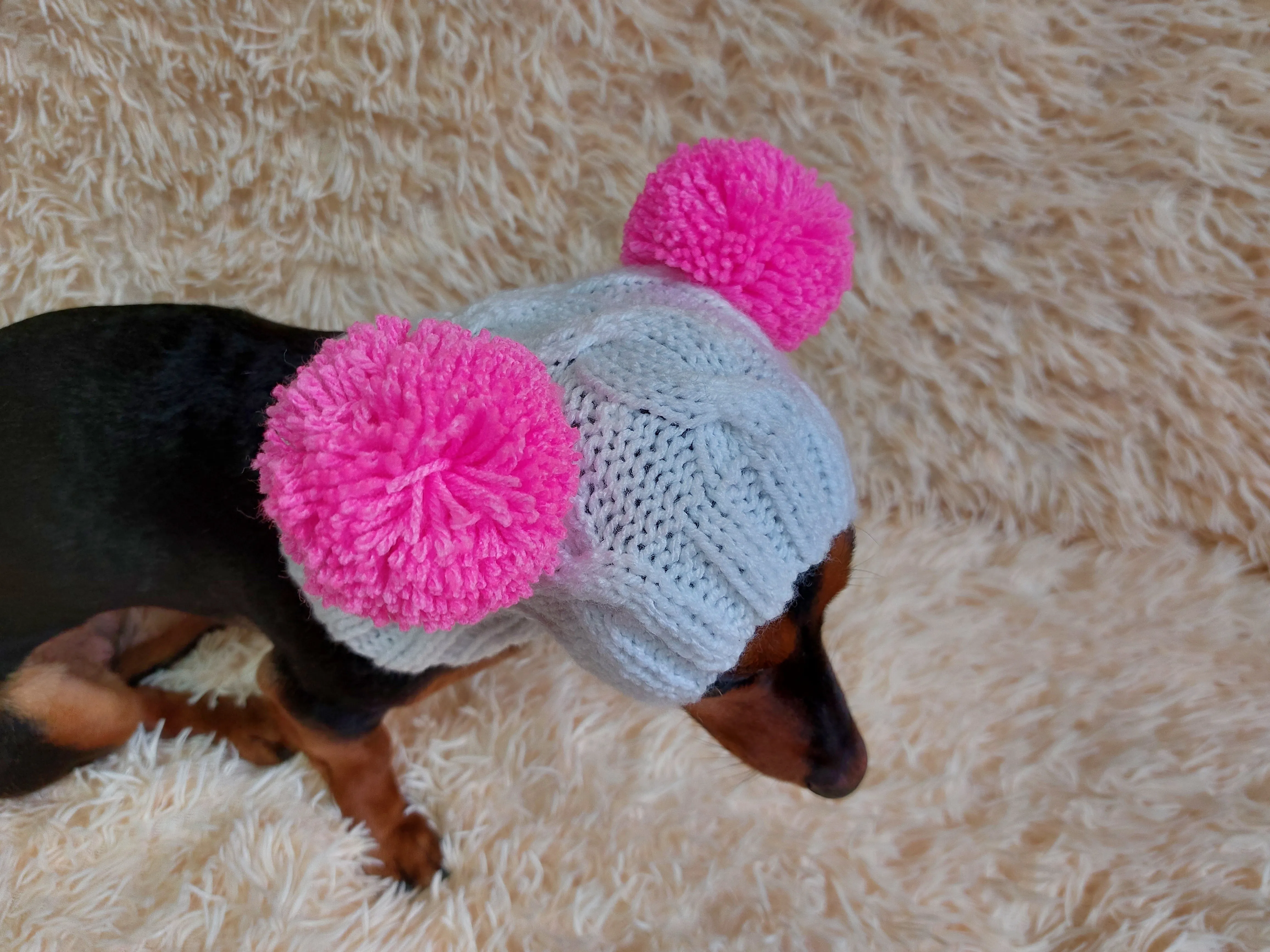 White Pet Hat With Colorful Pom Poms Dog Dachshund Warm Clothes Outfit Pom Pom Hat