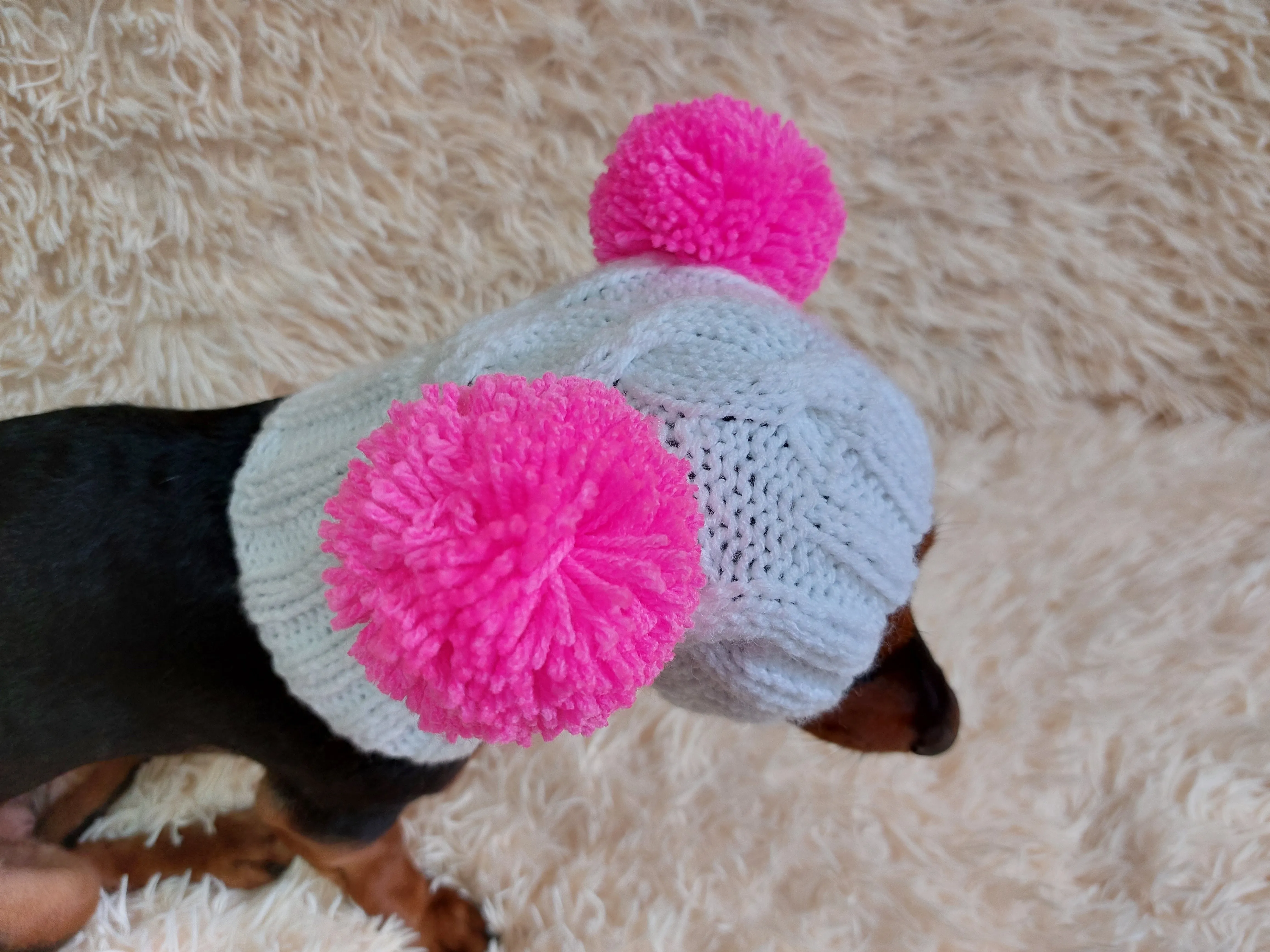 White Pet Hat With Colorful Pom Poms Dog Dachshund Warm Clothes Outfit Pom Pom Hat