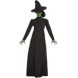 Wicked Witch Costume