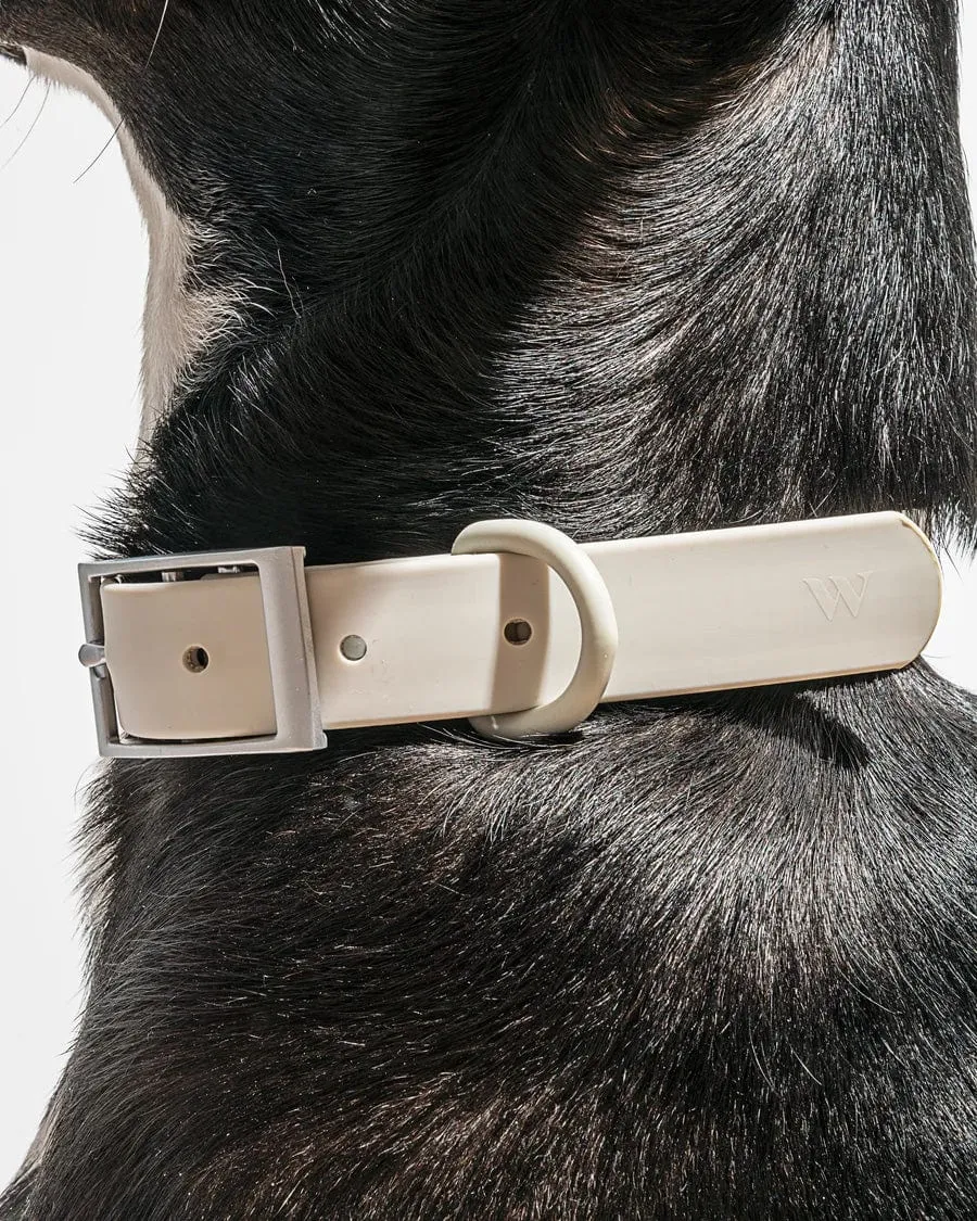 Wild One Pet Collar