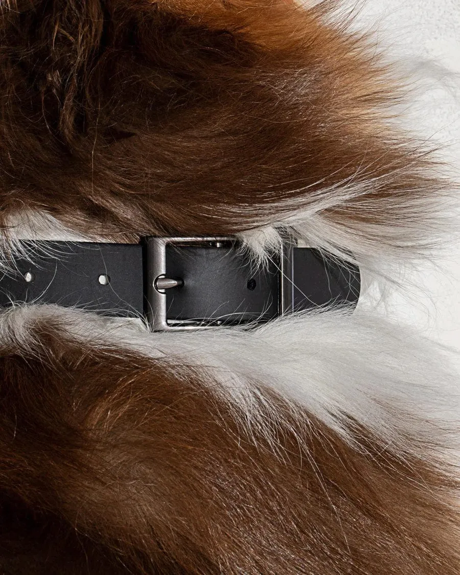 Wild One Pet Collar