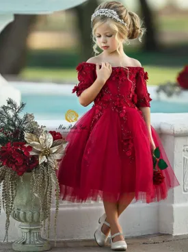 Winter Whimsy Off Shoulder Applique Holiday Dress