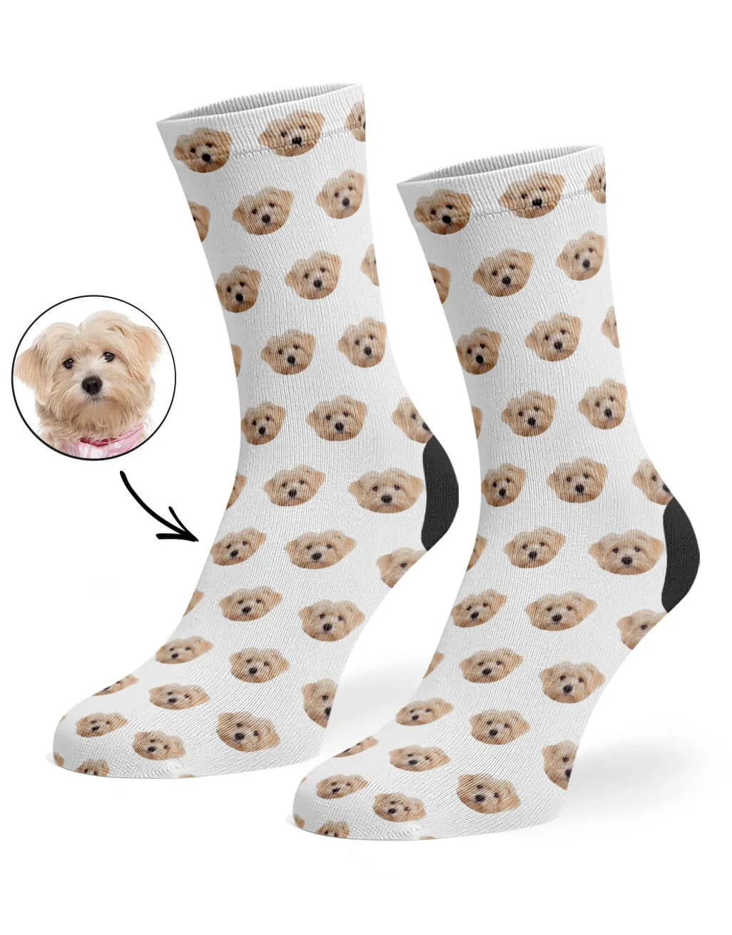 Your Dog Pattern Socks