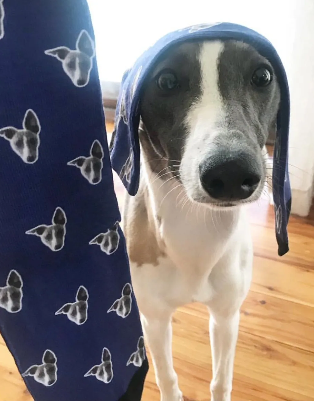 Your Dog Pattern Socks