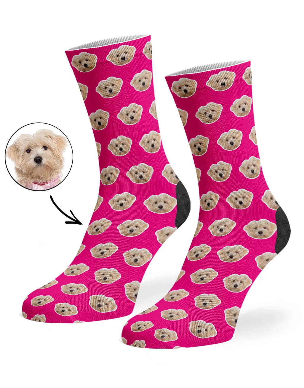 Your Dog Pattern Socks