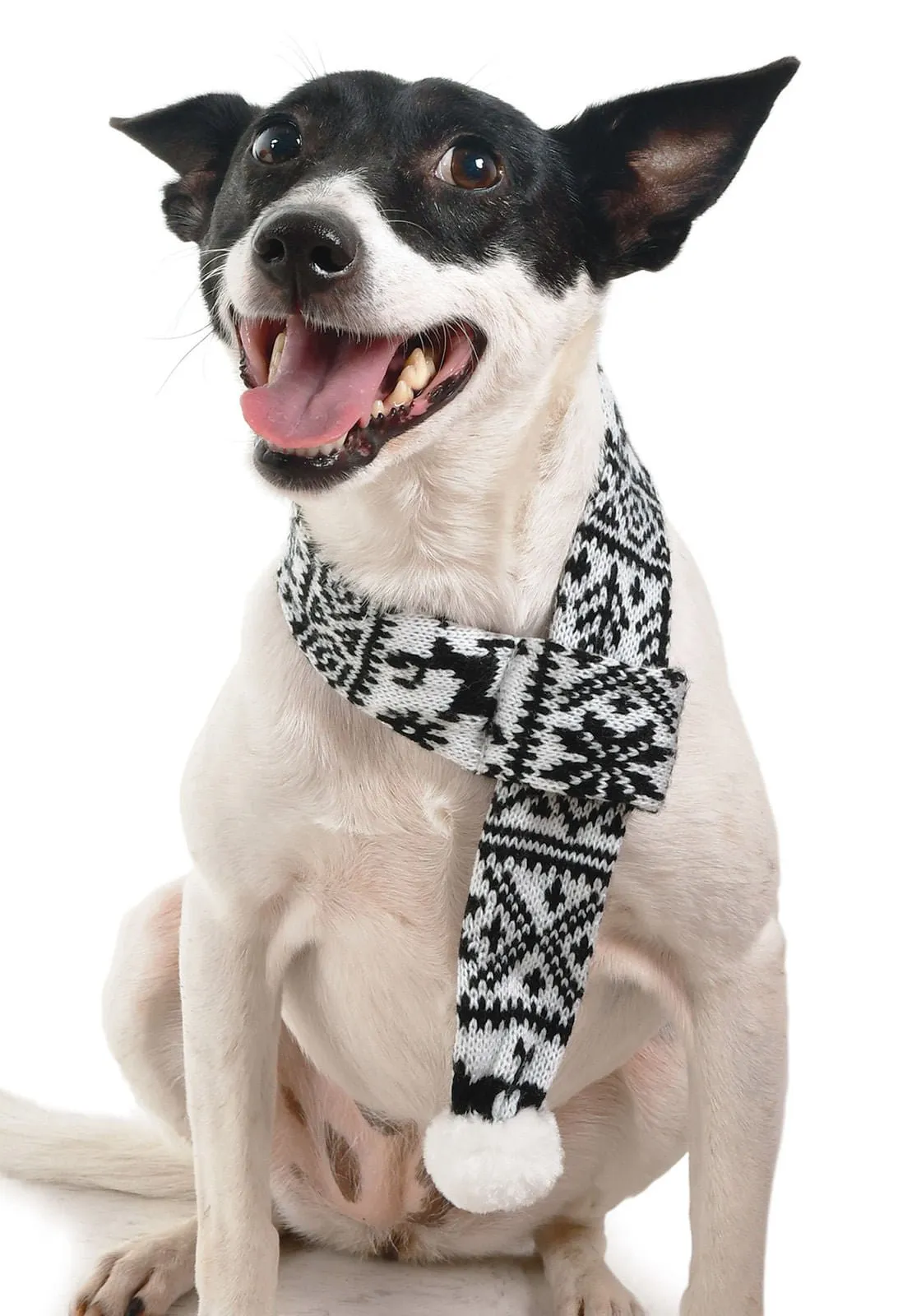 Zippy Paws Reindeer Scarf, Black/White